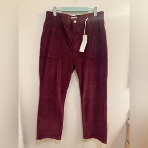 NWT Driftwood Corduroy Pants, Size 31